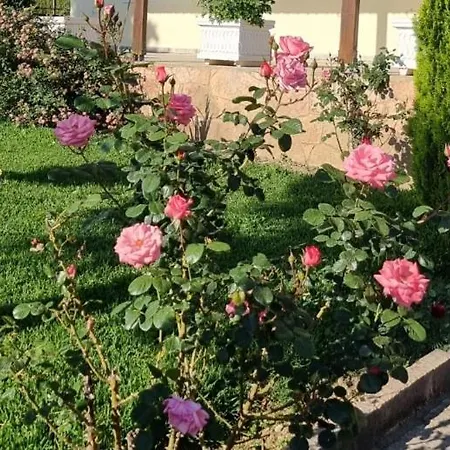 Elenis House Apartamento Finiq